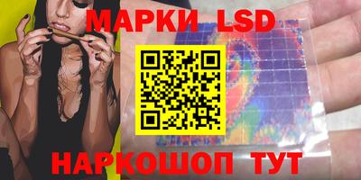 индика Сланцы