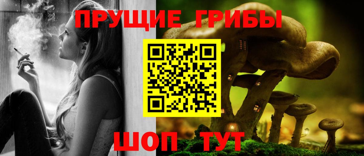 Псилоцибиновые грибы Magic Shrooms  Вход с VPN  Рассказово  даркнет сайт  Галлюциногенные грибы прущие грибы 
