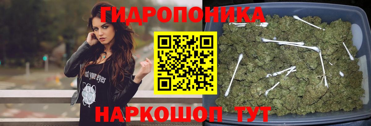 Рассказово  Бошки марихуана гибрид  Вход с VPN  МАРИХУАНА LSD WEED 